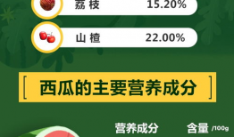 吃瓜大队爆料西瓜视频搜索,西瓜视频搜索背后的秘密