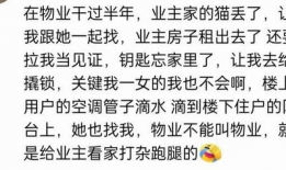 吃瓜爆料总群啥意思,网络舆论场中的神秘力量